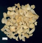 dried Bulbus Lilii root
